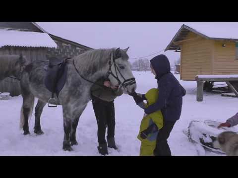 Конная прогулка *Горки*